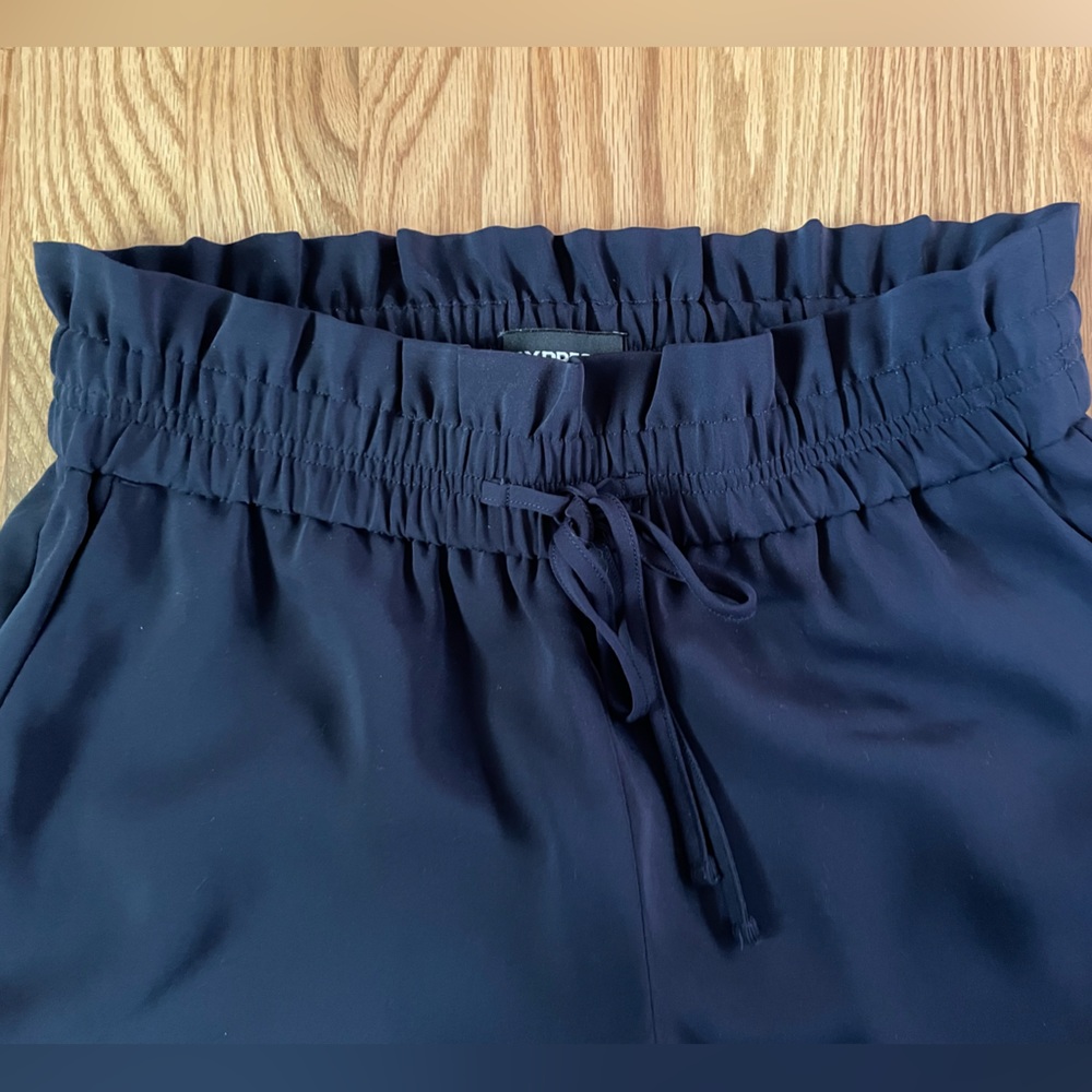 Express Palazzo pants